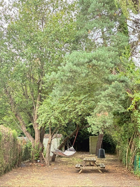 tuin2